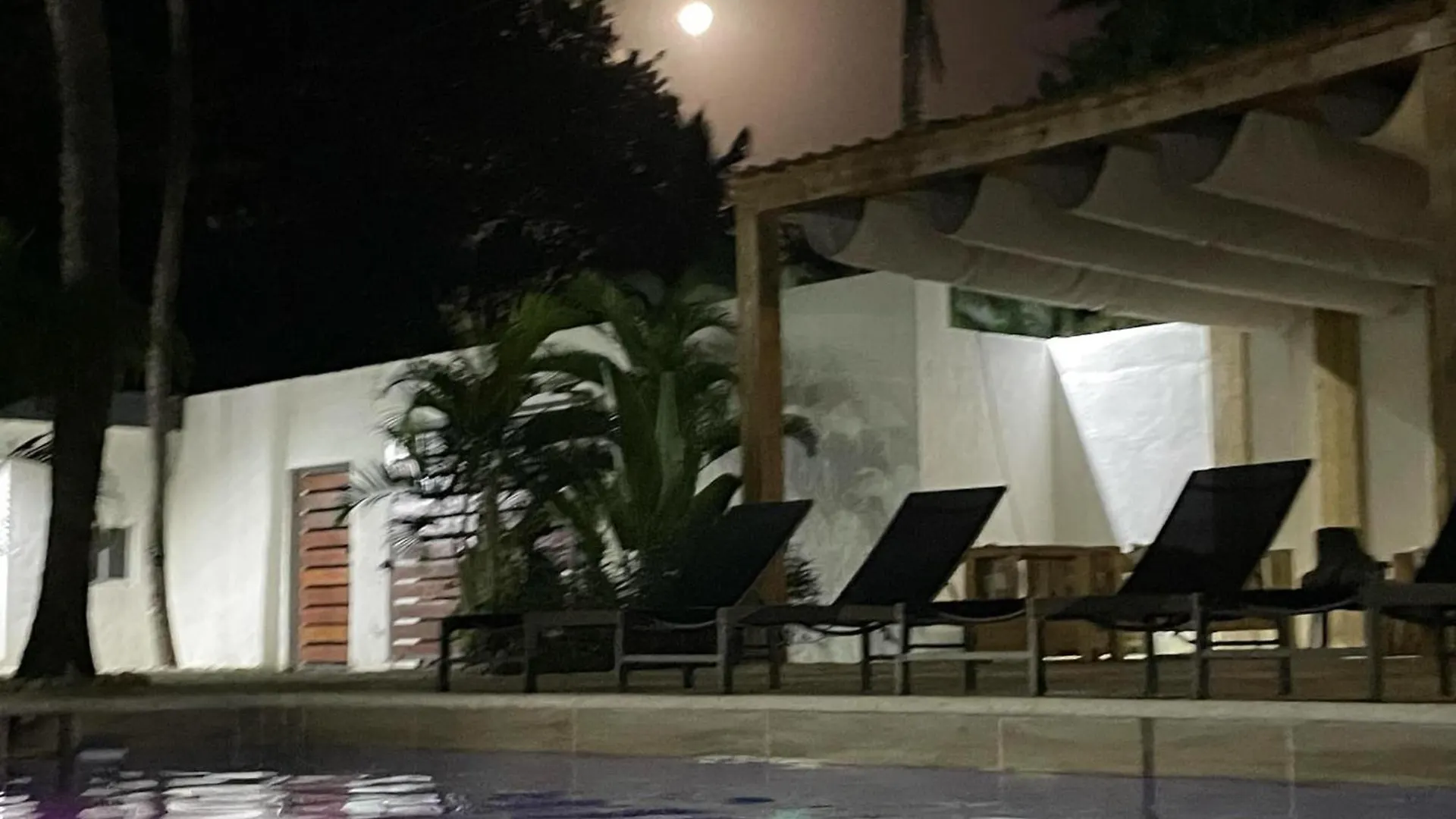 Hotel Appartements Hummingbird Cabarete Den Dominikanske Republik